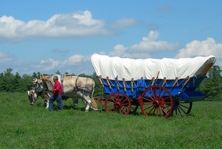 Heritage Ox Farm Calistoga Wagon at Green Mountain Draft Field Daysa Wagon